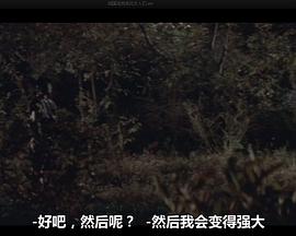 戰(zhàn)國(guó)洛克：疾風(fēng)女人們