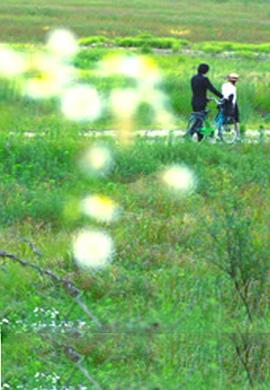 牽?；?>
                                </div>
                            </div>
                            <div   id=