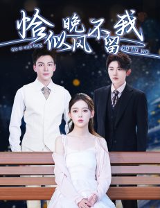 恰似晚風(fēng)不留我＆棄他如風(fēng)