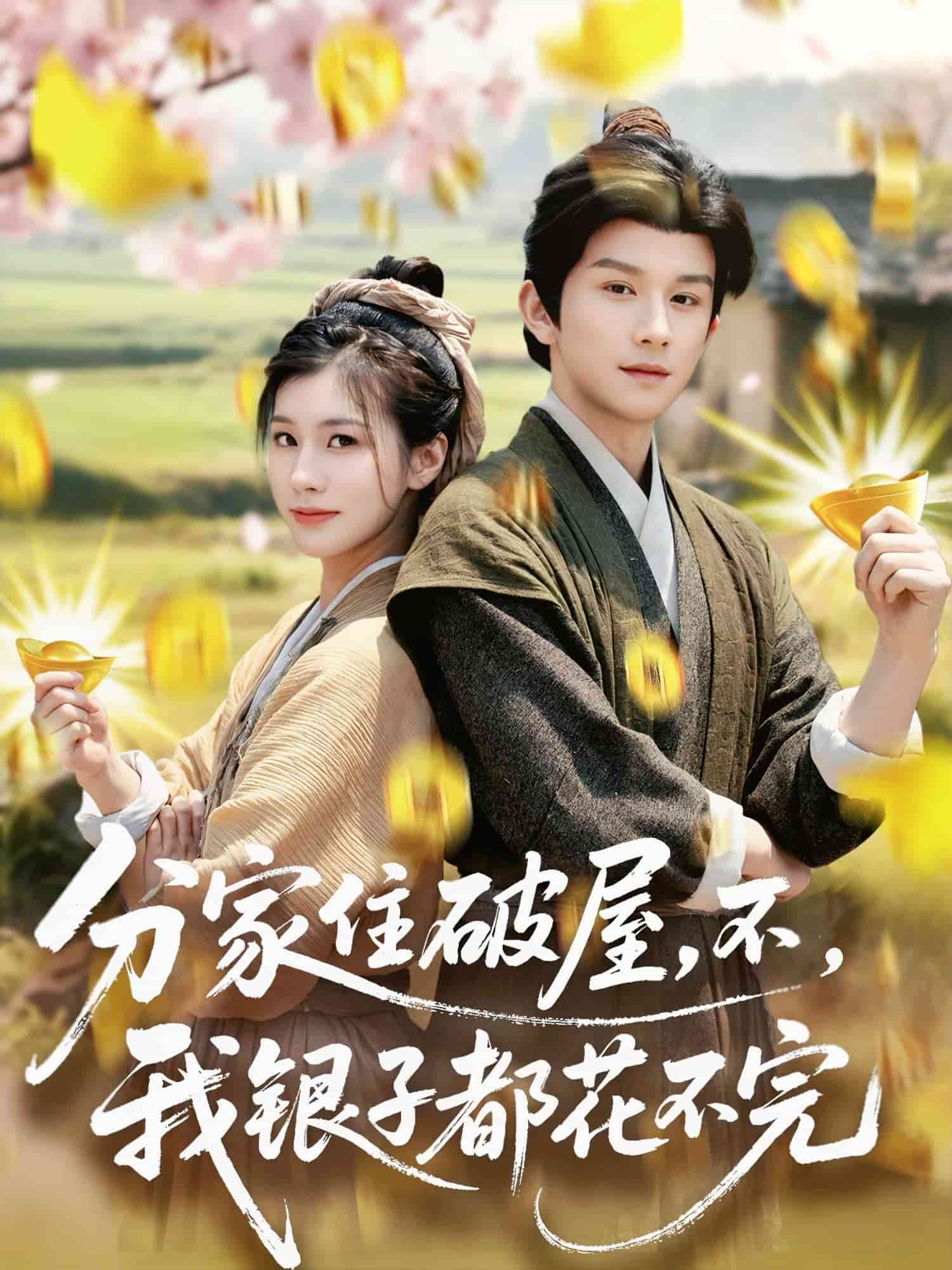 分家住破屋，不，我銀子都花不完