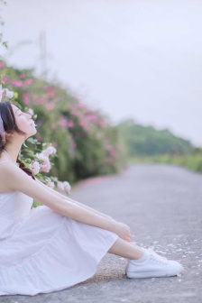 17C在线观看免费播放电视剧大全