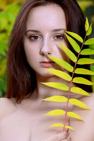 我为卿 狂 免费观看