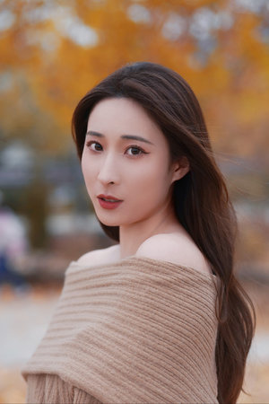 成全影视大全免费追剧大全