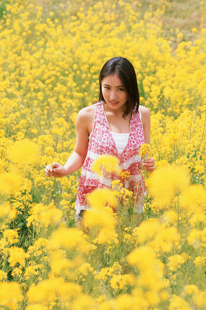 日本理论片在线观看