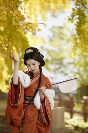 清宫启示录国语版在线